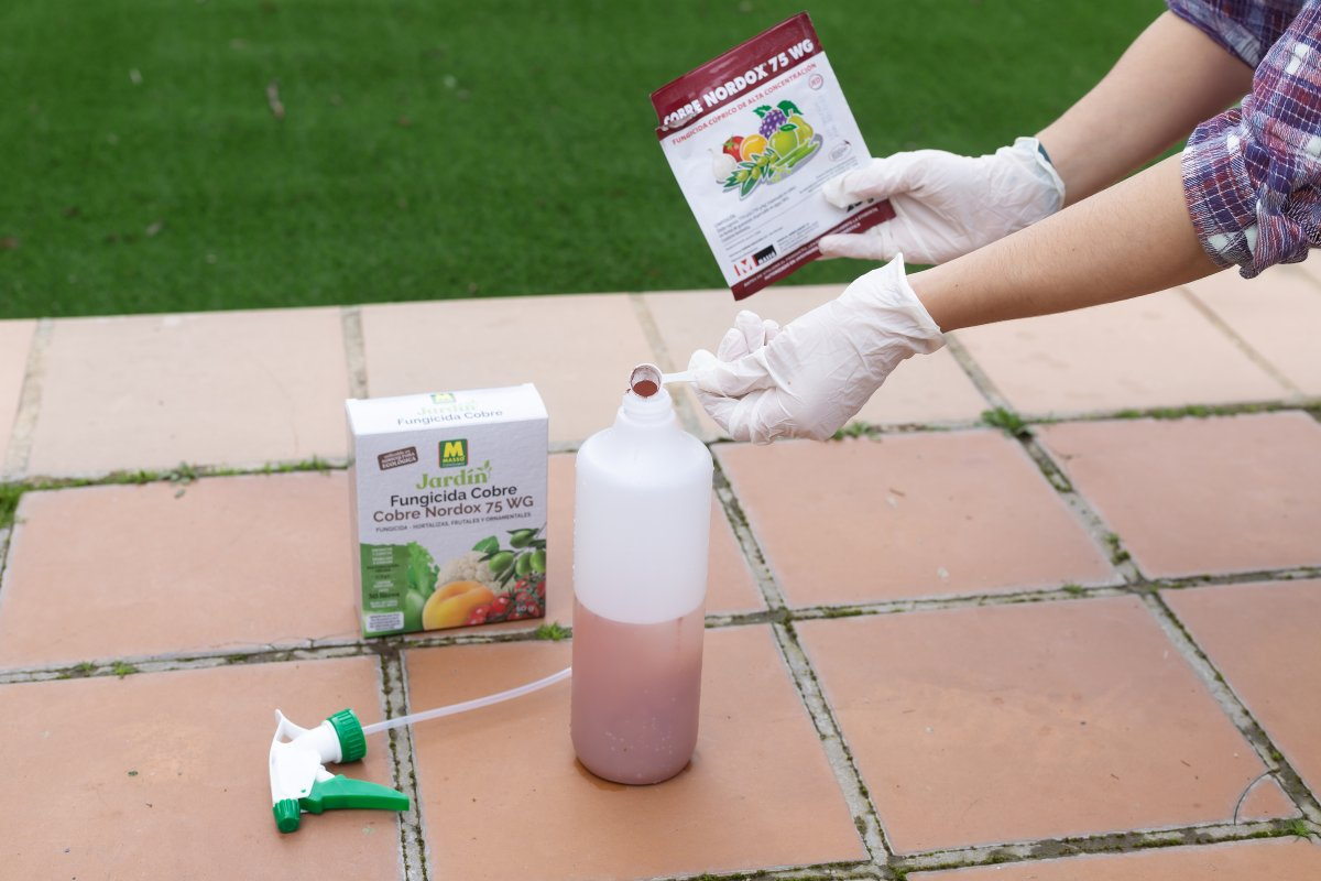 FUNGICIDA COBRE ECO MASSÓ 50 GR – Protección ecológica avanzada para huerto, frutales y ornamentales