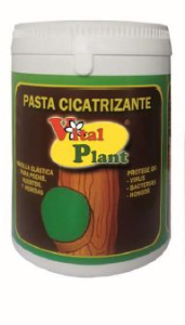 Pasta cicatrizante